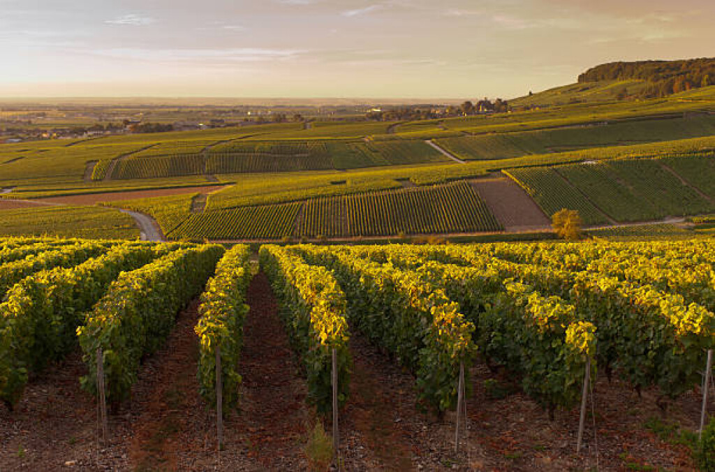 Perrier-Jouët Champagne Experience + Stay — 2 Tickets (Pkg 1)