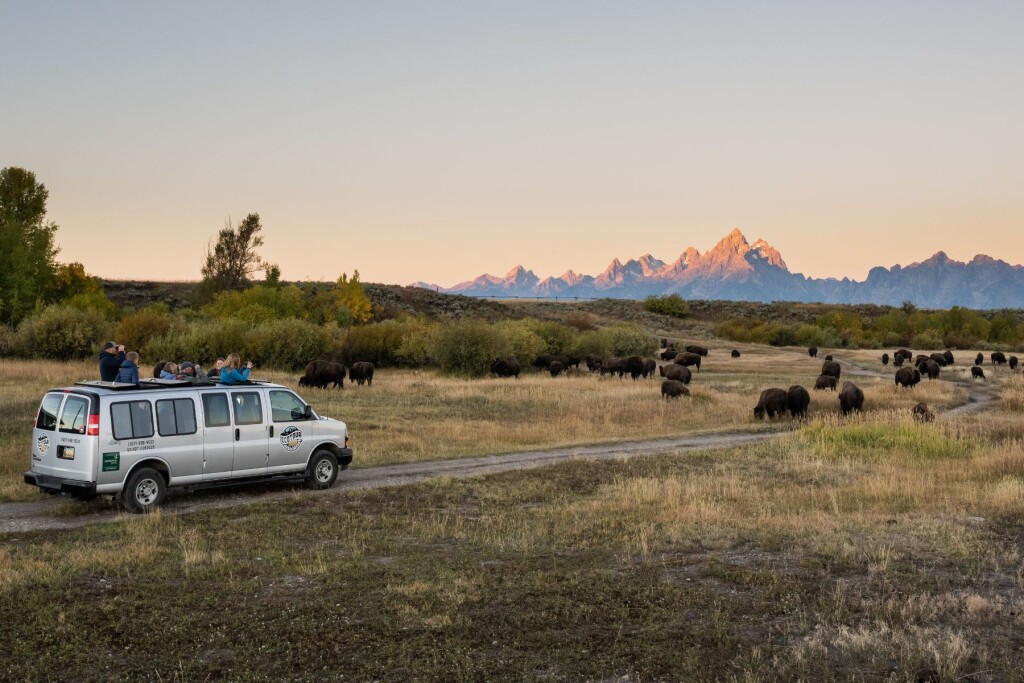Photography Experience in Jackson Hole — 2 Tickets (Pkg 1)