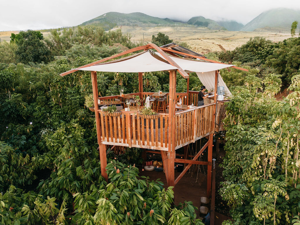 Maui Agricultural and Culinary Experiences + Suite Stay